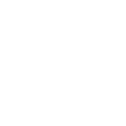 Wellness & Longevity